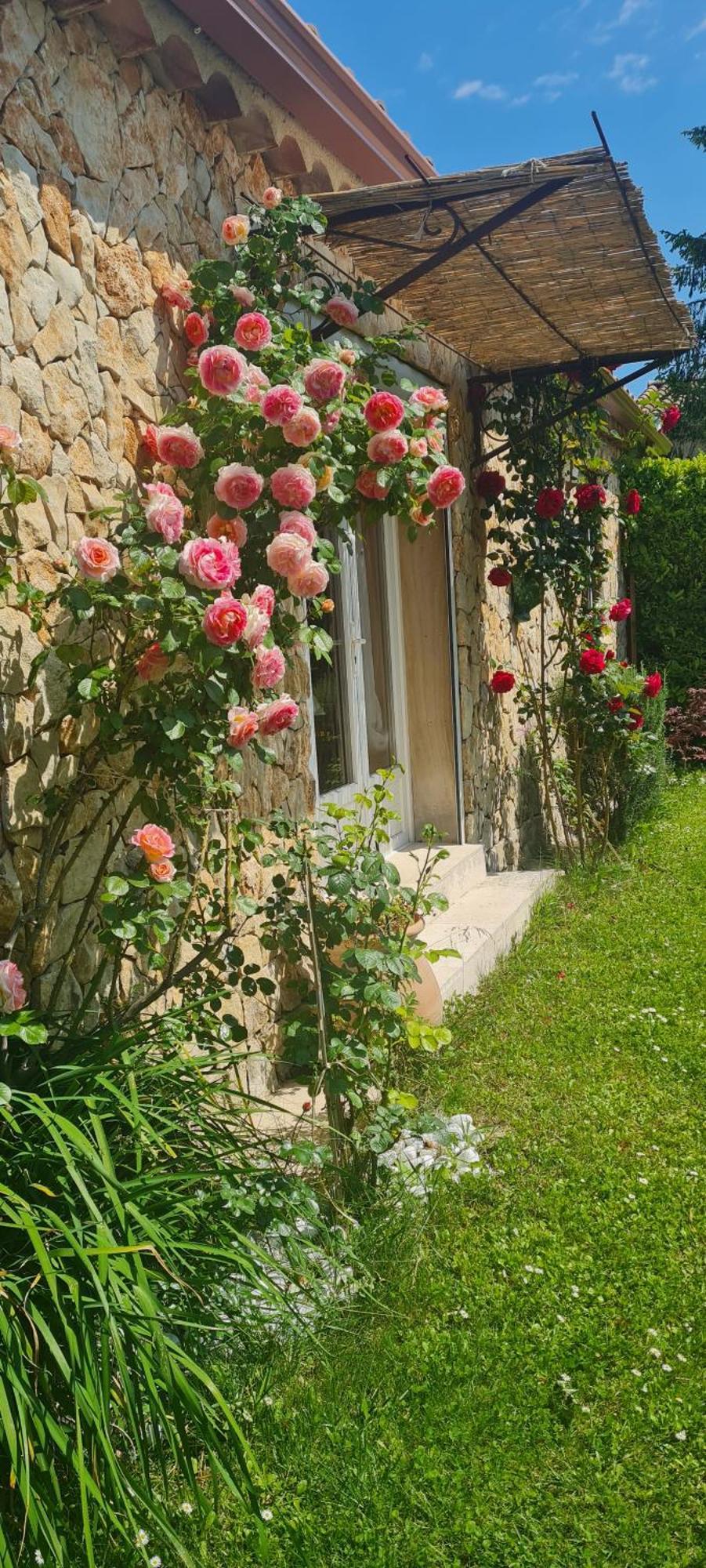 Petit Gite De Provence Mazan Exterior photo